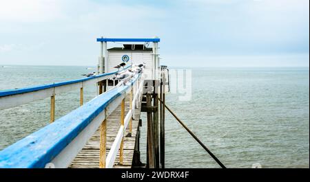 Cabane de pêcheur traditionnelle sur pilotis avec oiseaux de mouette et filet de pêche au carrelet sur la côte de Saint Palais en France. Structure en bois typique pour poissons Banque D'Images