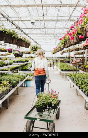 Femme marche à travers la serre tout en tirant le chariot plein de fleurs Banque D'Images