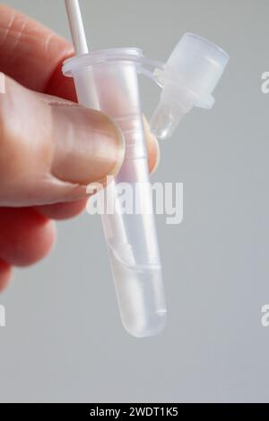 Londres, Royaume-Uni, 22 janvier 2024 : un écouvillon pour un test de covid dans un tube de solution tampon d'extraction, se préparant à un test Flowflex pour coronavirus à la maison. Anna Banque D'Images