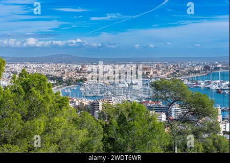 Vue depuis le château de Bellver sur Palma, Majorque, îles Baléares, Espagne, Méditerranée, Europe Banque D'Images