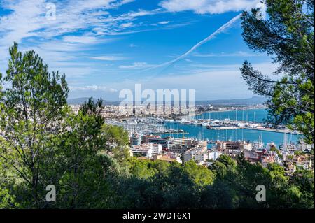 Vue depuis le château de Bellver sur Palma, Majorque, îles Baléares, Espagne, Méditerranée, Europe Banque D'Images