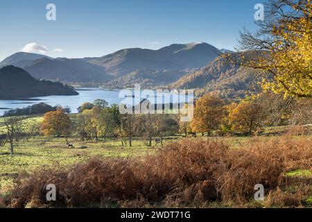 Ullswater de Park Brow près d'Aira Force, Lake District National Park, site du patrimoine mondial de l'UNESCO, Cumbria, Angleterre, Royaume-Uni, Europe Banque D'Images