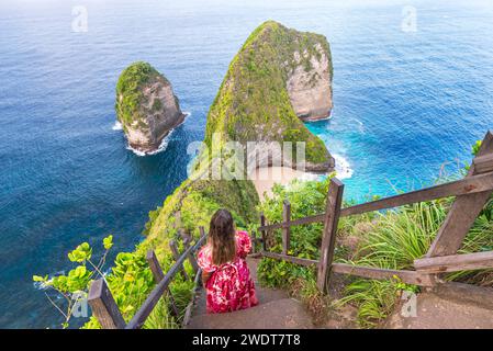 Vue arrière d'une femme admirant les falaises de T-Rex à Kelingking Beach, Nusa Penida, Klungkung regency, Bali, Indonésie, Asie du Sud-est, Asie Banque D'Images