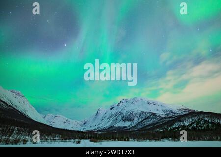 Les aurores boréales (Aurora Borealis) éclairent le ciel dans la nuit d'hiver, Tromso, Norvège, Scandinavie, Europe Banque D'Images