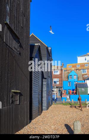 Cabanes nettes sur le stade Old Town, Hastings, East Sussex, Royaume-Uni Banque D'Images