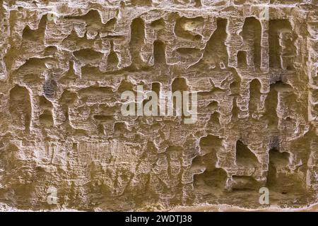 Egypte, Saqqara, nécropole de Sérapéum : textes de dédicace et niches pour stèles. Banque D'Images