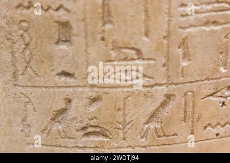 Egypte, Saqqara, Sérapéum, détail d'un vase canopique à taureau Apis : Nom du prince Khaemouaset. Banque D'Images