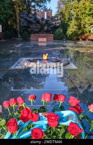 Une vue du centre, section principale du mémorial, en utilisant le thème de la bataille de Moscou avec la sculpture en forme de l'Union soviétique. Avec un Banque D'Images