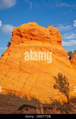 Lumière du coucher du soleil sur les formations de grès érodées Navajo dans South Coyote Buttes, Vermilion Cliffs National Monument, Arizona. Banque D'Images