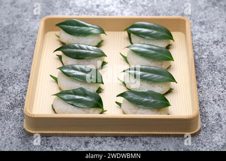Tsubaki Mochi est la plus ancienne sucrerie du Japon. Un gâteau de riz gluant rempli de pâte de haricots sucrée est pris en sandwich entre deux feuilles de camélia fraîches. Banque D'Images
