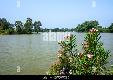 La rivière Yarkon à son approche finale de la mer, elle passe par tel-Aviv, ce que l'on appelle le parc Yehushua Banque D'Images