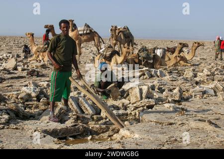 Hommes AFAR mines de sel dans le désert de Danakil le désert de Danakil (ou désert d'Afar) est un désert situé dans le nord-est de l'Éthiopie, le sud de l'Érythrée et le nord-ouest de D. Banque D'Images