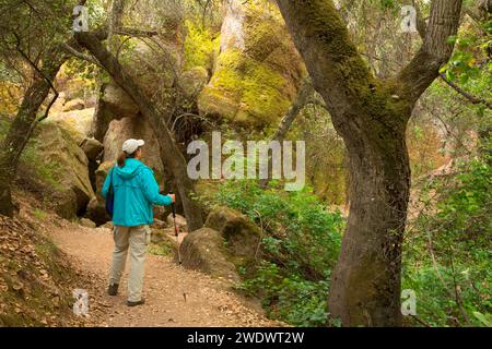 High Peaks Trail, parc national des Pinnacles, Californie Banque D'Images