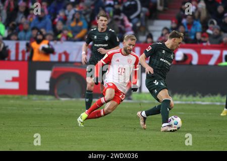 MUNICH, Allemagne. , . 27 Konrad LAIMER vs #14 senne LYNEN lors du match de Bundesliga entre le FC Bayern Muenchen et le SV WERDER BREMEN à l'Allianz Arena de Munich le 21. Janvier 2024, Allemagne. DFL, Fussball, 0:1, (photo et copyright @ ATP images/Arthur THILL (THILL Arthur/ATP/SPP) crédit : SPP Sport Press photo. /Alamy Live News Banque D'Images