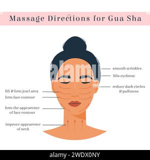 Infographie de la direction de massage pour Gua Sha Scraper. Femme asiatique de peau brune avec les yeux fermés. Lignes sur le visage pour masseur de pierres. Auto-soins anti-âge h Illustration de Vecteur