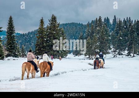 Équitation au centre de ski de Pertouli, Pyli, Trikala, Thessalie, Grèce. Banque D'Images