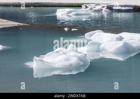 Des icebergs flottent dans le lac Upper Grinnell dans le parc national Glacier du montana par un bel après-midi. Banque D'Images