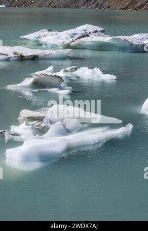 Des icebergs flottent dans le lac Upper Grinnell dans le parc national Glacier du montana par un bel après-midi. Banque D'Images