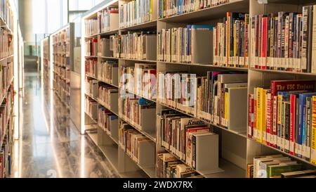 Doha, qatar- 10 janvier 2024 : divers livres sur l'étagère Bibliothèque nationale du qatar. Banque D'Images