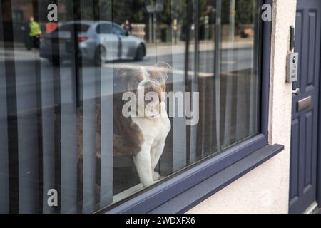 La ville de Kirby à Ashfield, qui est dans la circonscription du député conservateur et vice-président Lee Anderson. Banque D'Images