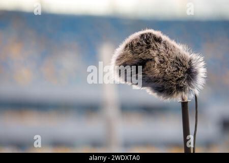 Microphone directionnel sur le terrain de football pour enregistrer le son du match Banque D'Images