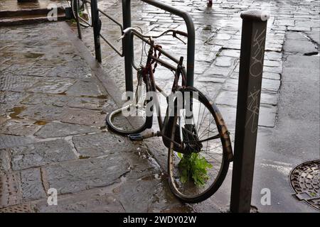 Vélo de chaussée imbibé de pluie Banque D'Images