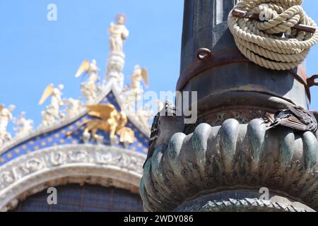 Pigeon perché sur le poteau à St. Cathédrale de Mark Banque D'Images