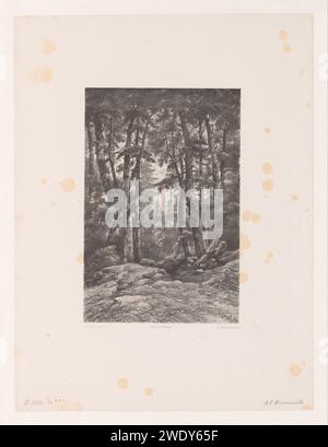 Bosgevicht, Adolf Carel Nunnink, d'après Johannes Gijsbert Vogel, avant 1877 - 1903 print vue d'une forêt dans un paysage de montagne. Le journal de la Haye. forêt, bois Banque D'Images