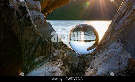 Lensball sur Dead Tree au coucher du soleil au lac Banque D'Images