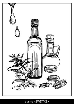 Illustration vectorielle. Composition de bouteilles et de branches de sésame avec des feuilles et des fleurs, des gousses de graines, des graines Illustration de Vecteur