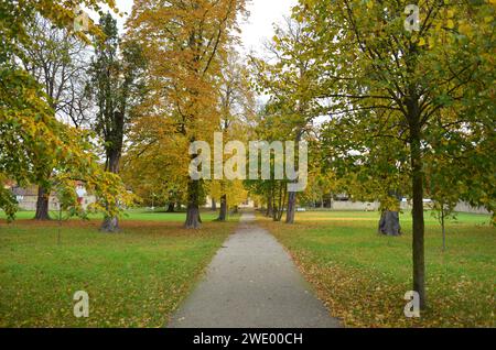 Parc du château de Kromsdorf en saison atumn avec feuillage jaune sur les arbres Banque D'Images