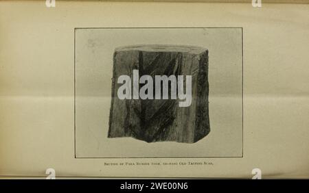 Bulletin agricole du détroit et États malais fédérés. Nouvelle série Banque D'Images