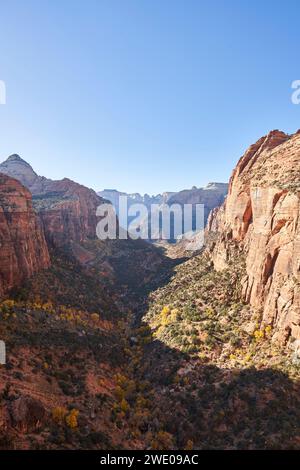 La vue inspirante depuis Canyon Overlook dans le parc national de Zion. Les ombres couvrent la majeure partie de la vallée, avec un certain nombre d'arbres jaunes vus ci-dessous. Banque D'Images