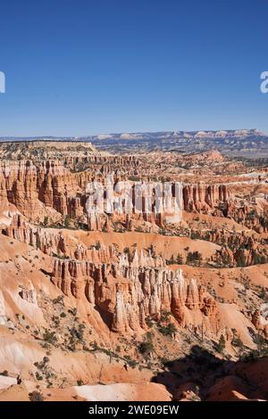 Un grand nombre de hoodos en pierre émergent du paysage du canyon de bryce. Ils ont une variété de couleurs, allant de l'orange au blanc. Banque D'Images