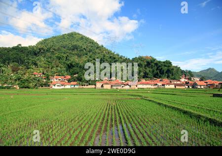 Terres agricoles à Soreang près de Ciwidey dans l'ouest de Java, Indonésie Banque D'Images