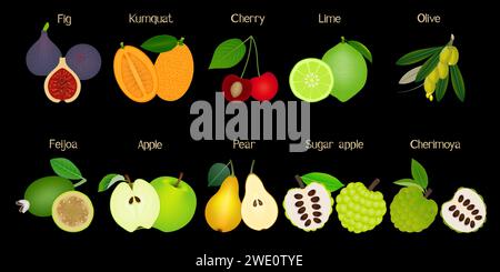 Ensemble de fruits entiers et demi isolé sur un fond noir. Illustration de Vecteur