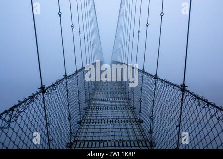 Matin d'hiver brumeux et glacial, pont suspendu. Banque D'Images