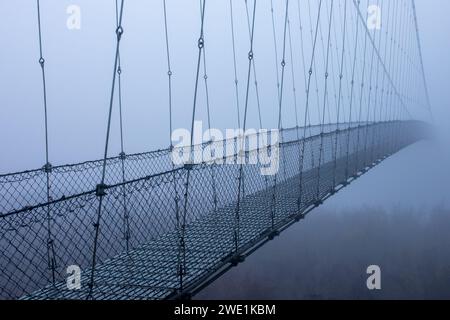 Matin d'hiver brumeux et glacial, pont suspendu. Banque D'Images