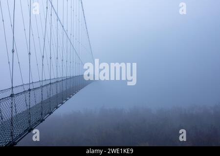 Matin d'hiver brumeux et glacial, pont suspendu. Banque D'Images