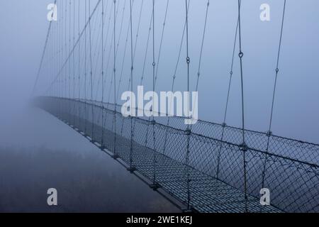 Matin d'hiver brumeux et glacial, pont suspendu. Banque D'Images