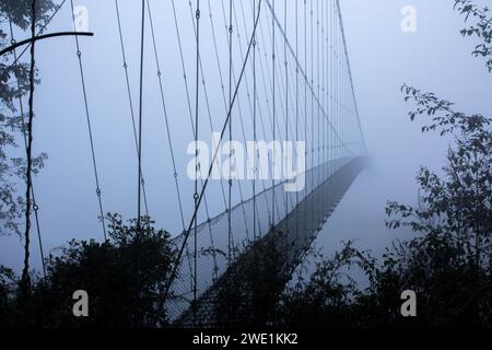 Matin d'hiver brumeux et glacial, pont suspendu. Banque D'Images