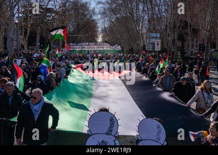 Madrid, Espagne. 20 janvier 2024. Les manifestants brandissent un énorme drapeau palestinien lors d'une manifestation. Des milliers de manifestants réclament un cessez-le-feu en Palestine lors d’une manifestation pro-palestinienne à Madrid. Crédit : SOPA Images Limited/Alamy Live News Banque D'Images