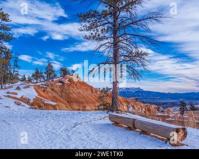 Sunrise point Overlook, hiver, parc national de Bryce Canyon, Utah. Banque D'Images