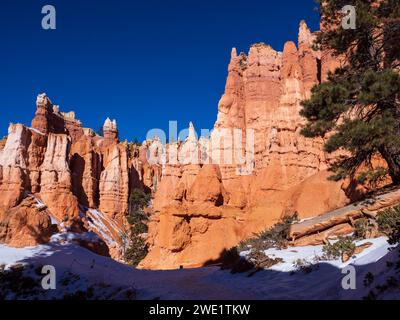 Amphithéâtre de Bryce depuis le Queen's Garden Trail, hiver, parc national de Bryce Canyon, Utah. Banque D'Images