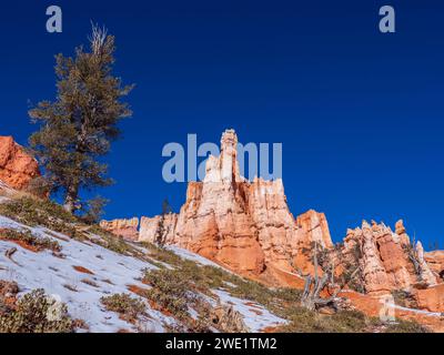 Amphithéâtre de Bryce depuis le Queen's Garden Trail, hiver, parc national de Bryce Canyon, Utah. Banque D'Images