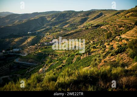 Vue sur la pente depuis les vignobles de la vallée du Douro, Portugal. Banque D'Images