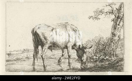 Buvable Bull, Jan Kobell (II), 1788 - 1814 imprimer dans un paysage il y a un taureau à un arbre d'un étang à boire, où il est capable de ses chevilles. Deux vaches de pâturage en arrière-plan. vache de gravure de papier Banque D'Images