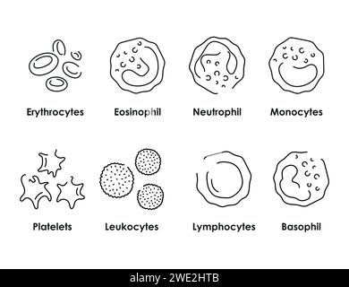 Icônes de couleur des cellules sanguines définies. Globules blancs, érythrocytes, plaquettes dans les vaisseaux sanguins. Illustration isolée vectorielle. Illustration de Vecteur