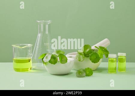 Vue de face des feuilles de centella sur pilon blanc et mortier, verrerie de laboratoire et petits bocaux contenant du liquide jaune affichés sur fond vert. Scène f Banque D'Images