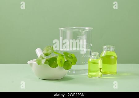 Concept de laboratoire pour la publicité cosmétique à partir d'extrait naturel - gotu kola (centella). Feuilles de centella fraîches avec verrerie de laboratoire et pilon blanc, Mo Banque D'Images
